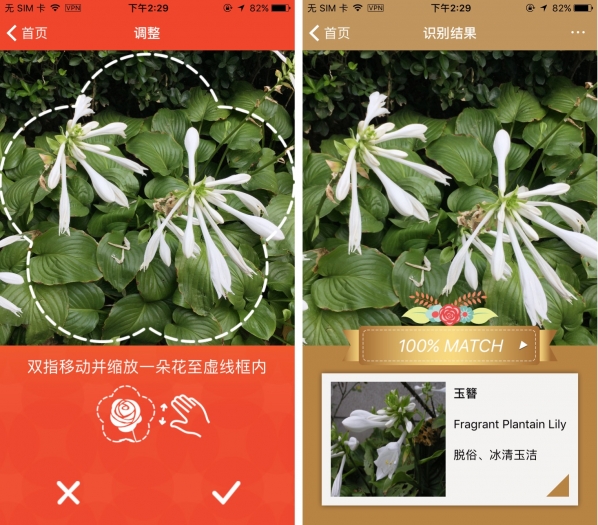识花 我们可以通过拍摄花儿的照片或者选取手机图库中的花儿图片来