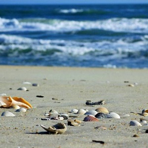 大海沙滩唯美头像_微信头像