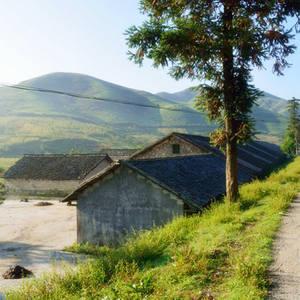 乡村气息风景头像