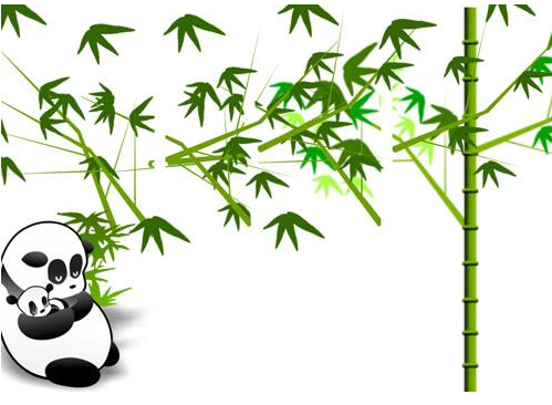 熊猫直播怎么充值 熊猫直播竹子充值教程