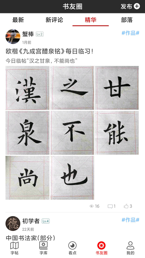 書法字帖碑帖app電腦版截圖4