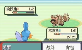 口袋妖怪xy一周目图文攻略具体介绍 历趣