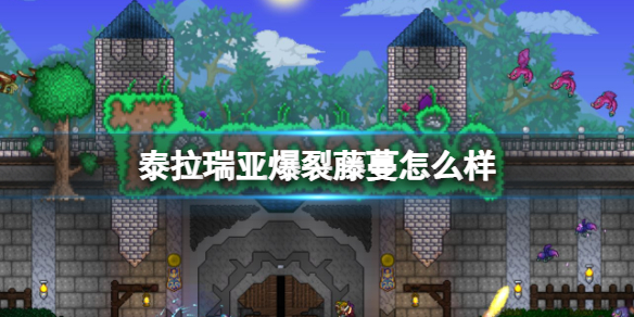 泰拉瑞亚爆裂藤蔓怎么样爆裂藤蔓图鉴介绍