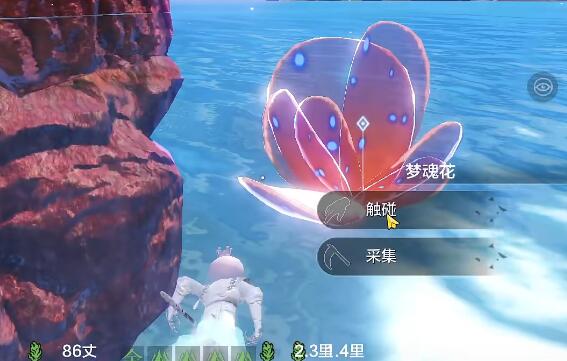 妄想山海南海经任务怎么做妄想山海南海经任务完成攻略