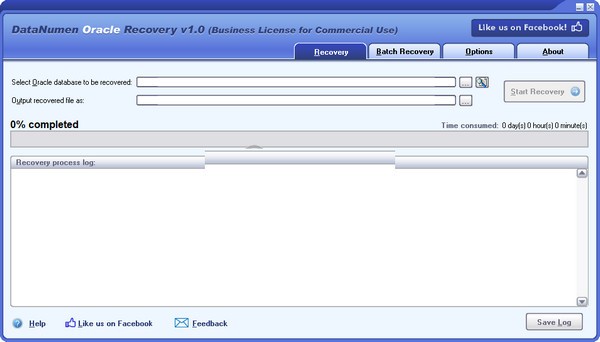 DataNumen Oracle Recovery(Oracle数据库恢复工具)