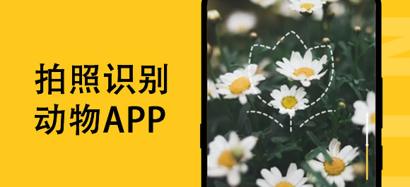 拍照识别动物app有哪些？几款拍照识别动物软件推荐