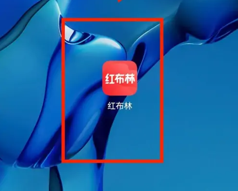 红布林app怎么投诉商家 具体操作方法介绍