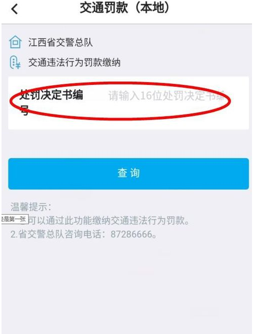 交通罚款怎么交(交通罚款怎么申诉)