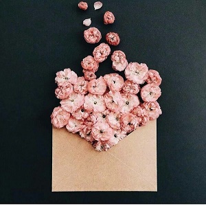 浪漫鲜花信封告白微信头像3