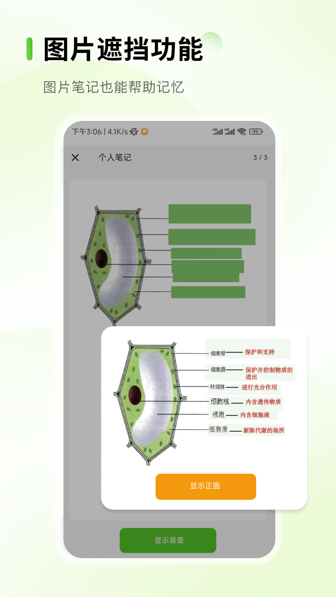 Anymo截图3