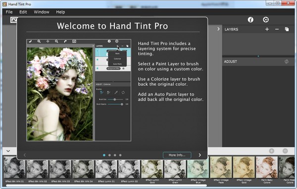 Hand Tint Pro(图像调色工具)