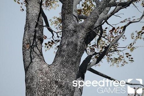speedtree Games Indie