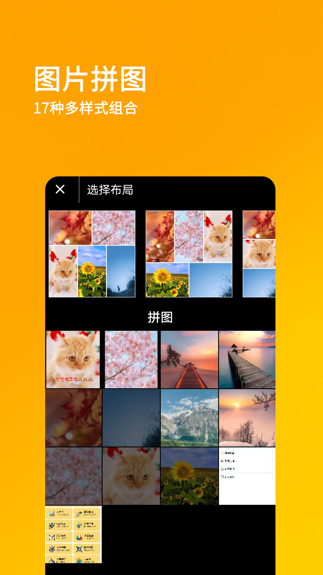 刷圈兔截图3