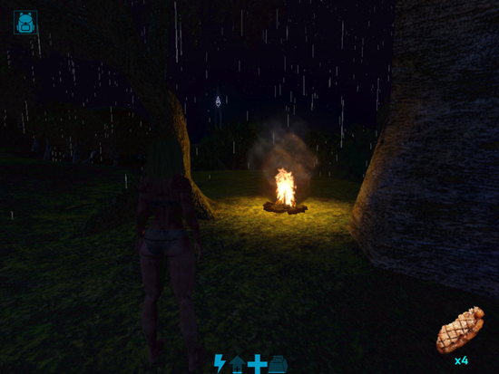 图3在夜晚可以通过篝火驱散寒冷debuff