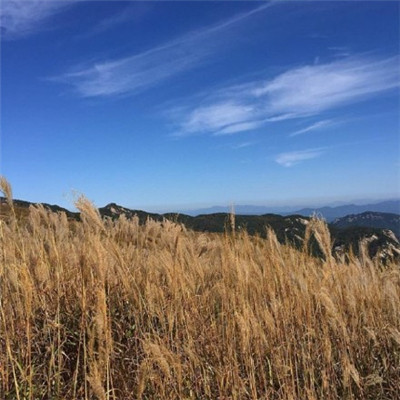 微信头像李 风景图片