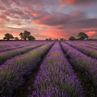 历趣 头像 风景头像 唯美夕阳西下微信图像9扫二维码下载 推荐头像
