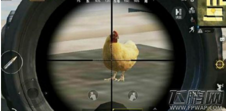 绝地求生刺激战场在哪里能抓到鸡 里的鸡是干什么用的 (1)