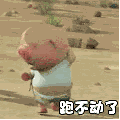 猪奔跑的动态图片