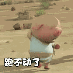 猪奔跑的动态图片