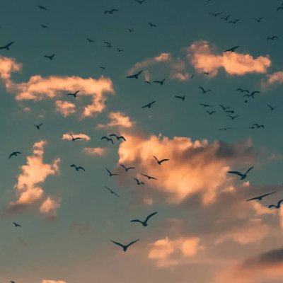 雁过留声风景背景图13_微信头像