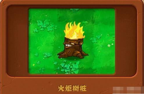 首先小编要跟大家说的就是关于火炬树桩,那么对于这个道具而言凡是玩