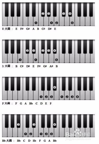 钢琴键盘示意图数字图片