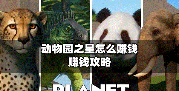 动物园之星怎么赚钱 怎么在动物园之星赚钱
