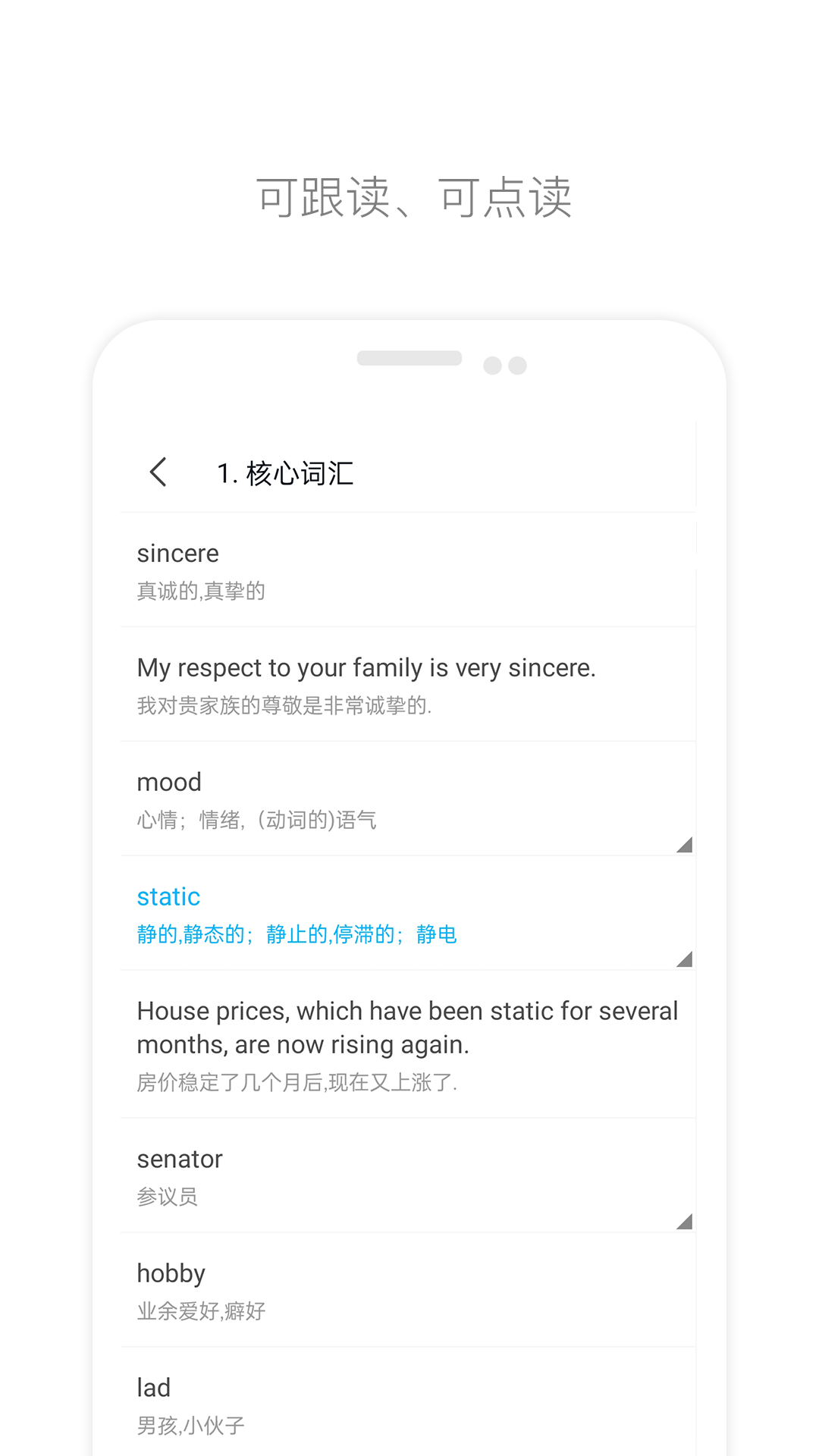 掌上英語(yǔ)四級(jí)電腦版截圖4