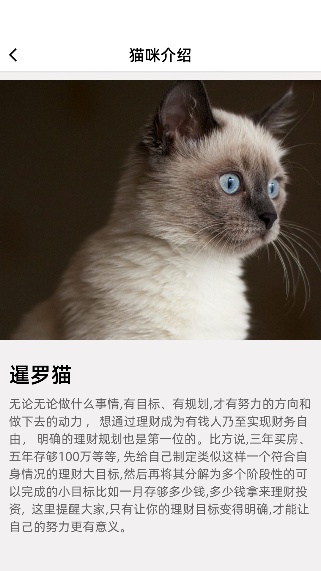 开心招财猫截图2