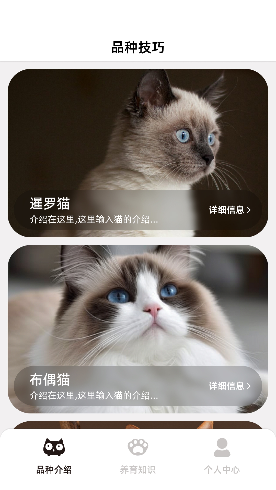 开心招财猫截图1