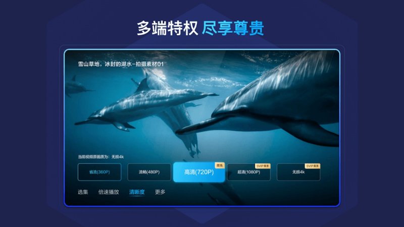 百度網(wǎng)盤TV版電腦版截圖2