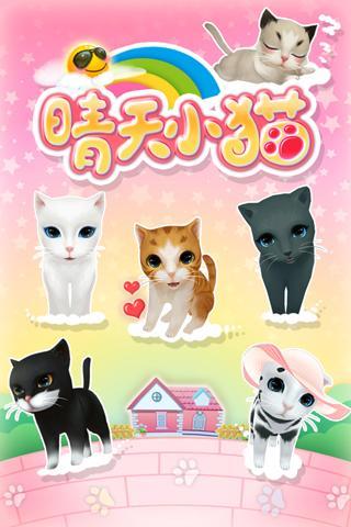 
晴天小猫