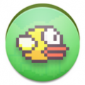 Flappy Bird app icon图