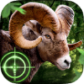 荒野猎手app icon图