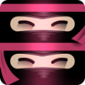双子忍者电脑版icon图
