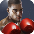 Punch Boxing 3D׿