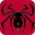 蜘蛛接龙手游app icon图
