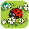 植物大战虫子app icon图