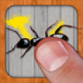 打蚂蚁app icon图