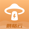 蘑菇云手机app icon图