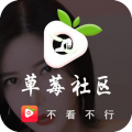 草莓社区app app icon图