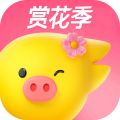 飞猪旅行app icon图