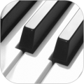 钢琴节奏微行科技电脑版icon图