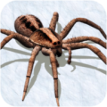 蜘蛛模拟器电脑版icon图