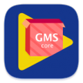 gms core服务app icon图