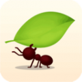 小蚁帝国app icon图