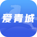 爱青城app学生健康填报app icon图