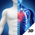 3D人体解剖图谱电脑版icon图