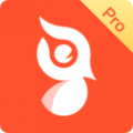 啄木鸟Pro app app icon图
