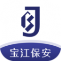 宝江保安信息管理电脑版icon图